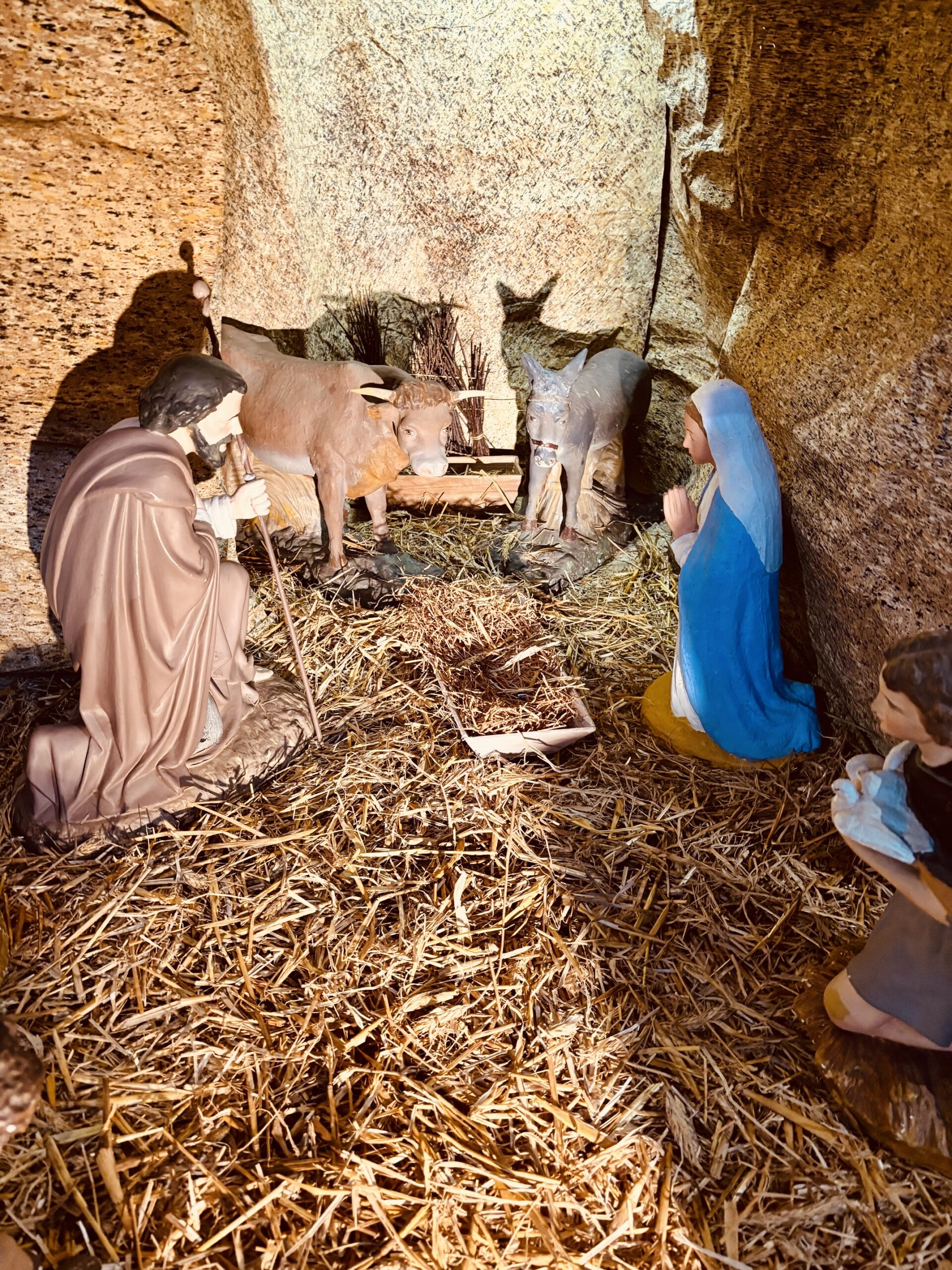 Messes de Noël 2025